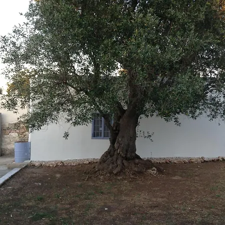 Holiday home Picturesque Trulli In Itria Valley Ostuni